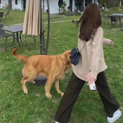 越境狂奔